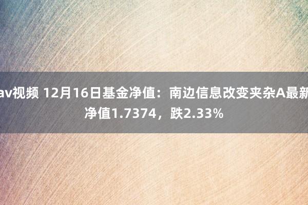 av视频 12月16日基金净值：南边信息改变夹杂A最新净值1.7374，跌2.33%