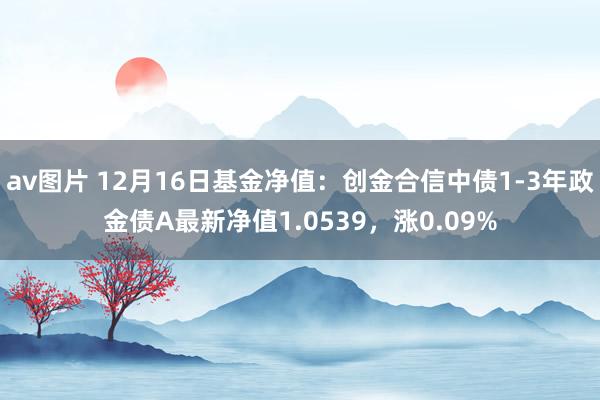 av图片 12月16日基金净值：创金合信中债1-3年政金债A最新净值1.0539，涨0.09%