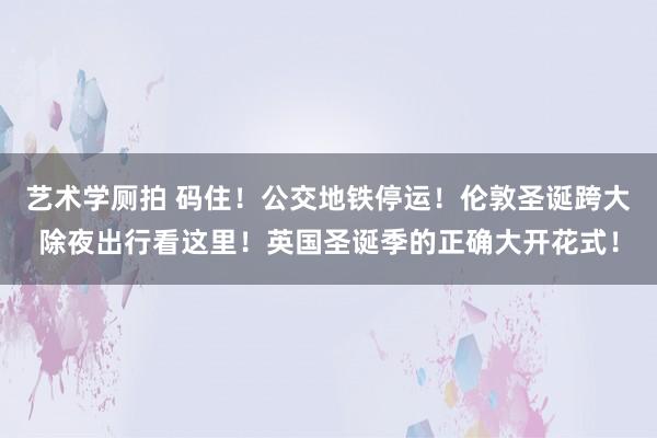 艺术学厕拍 码住！公交地铁停运！伦敦圣诞跨大除夜出行看这里！英国圣诞季的正确大开花式！