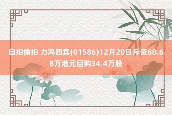 自拍偷拍 力鸿西宾(01586)12月20日斥资68.68万港元回购34.4万股