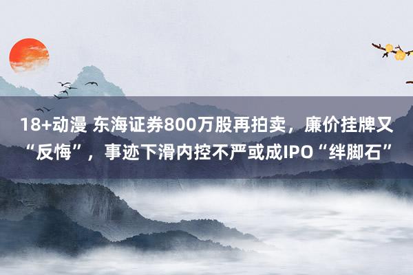 18+动漫 东海证券800万股再拍卖，廉价挂牌又“反悔”，事迹下滑内控不严或成IPO“绊脚石”