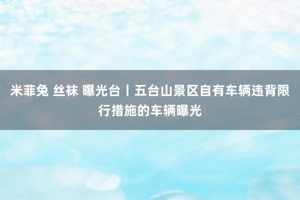 米菲兔 丝袜 曝光台丨五台山景区自有车辆违背限行措施的车辆曝光