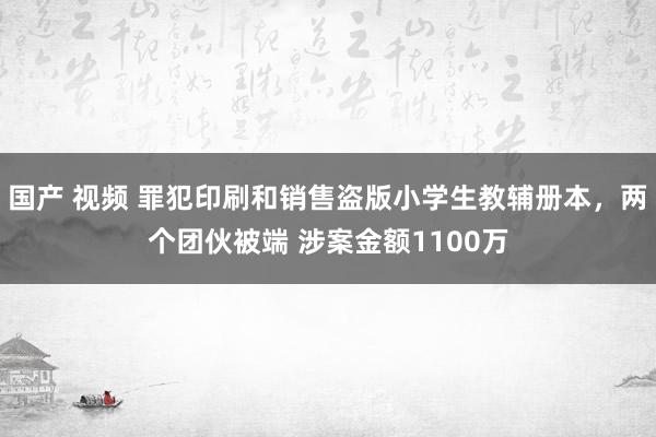 国产 视频 罪犯印刷和销售盗版小学生教辅册本，两个团伙被端 涉案金额1100万