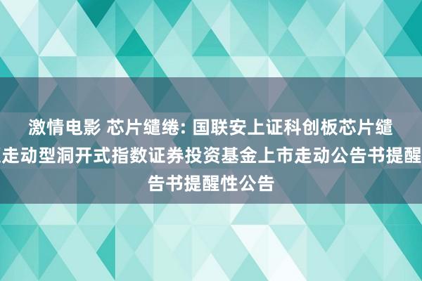 激情电影 芯片缱绻: 国联安上证科创板芯片缱绻主题走动型洞开式指数证券投资基金上市走动公告书提醒性公告