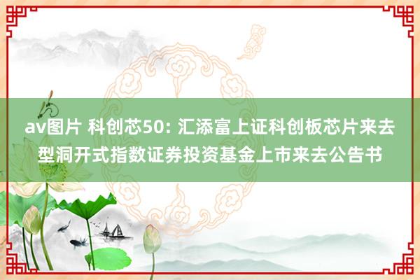 av图片 科创芯50: 汇添富上证科创板芯片来去型洞开式指数证券投资基金上市来去公告书