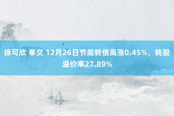 徐可欣 拳交 12月26日节能转债高涨0.45%，转股溢价率27.89%