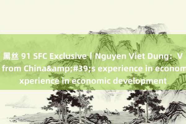 黑丝 91 SFC Exclusive丨Nguyen Viet Dung：Vietnam benefits from China&#39;s experience in economic development