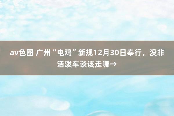 av色图 广州“电鸡”新规12月30日奉行，没非活泼车谈该走哪→