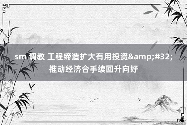 sm 调教 工程缔造扩大有用投资&#32;推动经济合手续回升向好