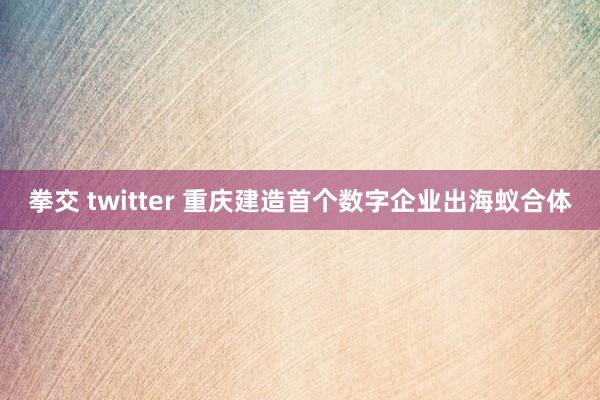 拳交 twitter 重庆建造首个数字企业出海蚁合体