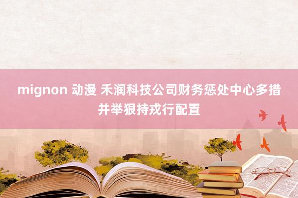 mignon 动漫 禾润科技公司财务惩处中心多措并举狠持戎行配置