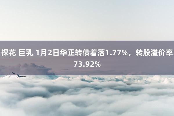 探花 巨乳 1月2日华正转债着落1.77%，转股溢价率73.92%