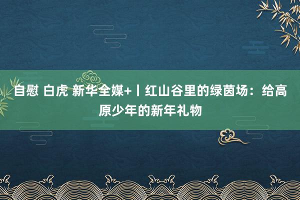 自慰 白虎 新华全媒+丨红山谷里的绿茵场：给高原少年的新年礼物