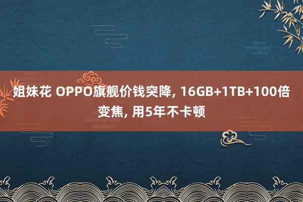 姐妹花 OPPO旗舰价钱突降， 16GB+1TB+100倍变焦， 用5年不卡顿