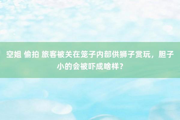 空姐 偷拍 旅客被关在笼子内部供狮子赏玩，胆子小的会被吓成啥样？