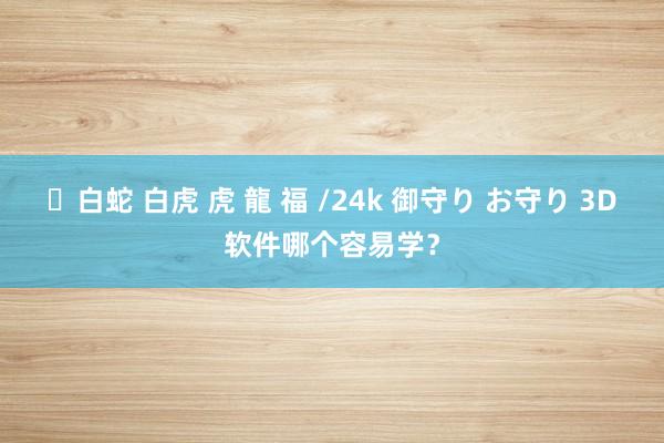 ✨白蛇 白虎 虎 龍 福 /24k 御守り お守り 3D软件哪个容易学？