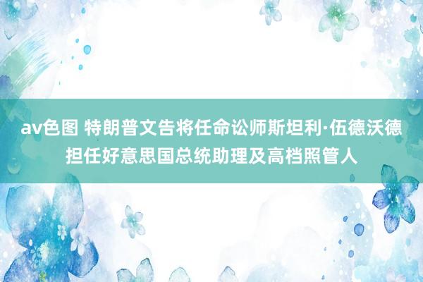 av色图 特朗普文告将任命讼师斯坦利·伍德沃德担任好意思国总统助理及高档照管人