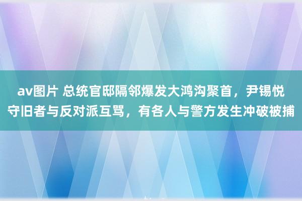 av图片 总统官邸隔邻爆发大鸿沟聚首，尹锡悦守旧者与反对派互骂，有各人与警方发生冲破被捕