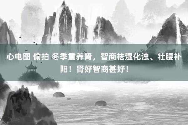 心电图 偷拍 冬季重养肾，智商祛湿化浊、壮腰补阳！肾好智商甚好！