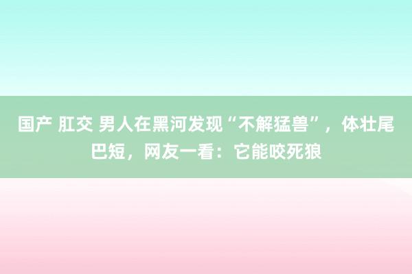 国产 肛交 男人在黑河发现“不解猛兽”，体壮尾巴短，网友一看：它能咬死狼