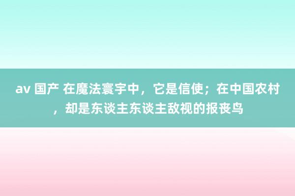 av 国产 在魔法寰宇中，它是信使；在中国农村，却是东谈主东谈主敌视的报丧鸟