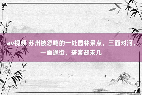 av视频 苏州被忽略的一处园林景点，三面对河，一面通街，搭客却未几