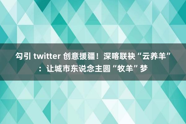 勾引 twitter 创意援疆！深喀联袂“云养羊”：让城市东说念主圆“牧羊”梦