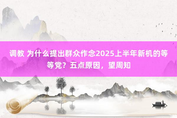 调教 为什么提出群众作念2025上半年新机的等等党？五点原因，望周知