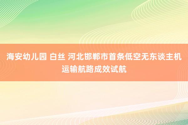 海安幼儿园 白丝 河北邯郸市首条低空无东谈主机运输航路成效试航