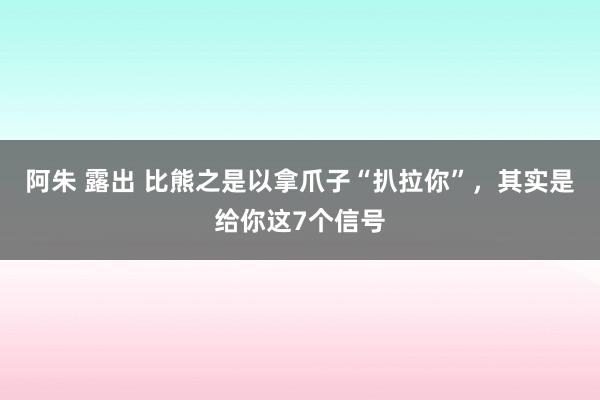 阿朱 露出 比熊之是以拿爪子“扒拉你”，其实是给你这7个信号