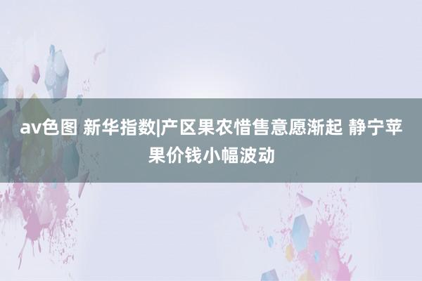 av色图 新华指数|产区果农惜售意愿渐起 静宁苹果价钱小幅波动